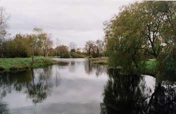 Etang &agrave; truites